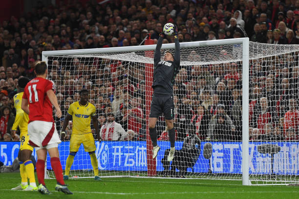 他们都将用 他们都将用